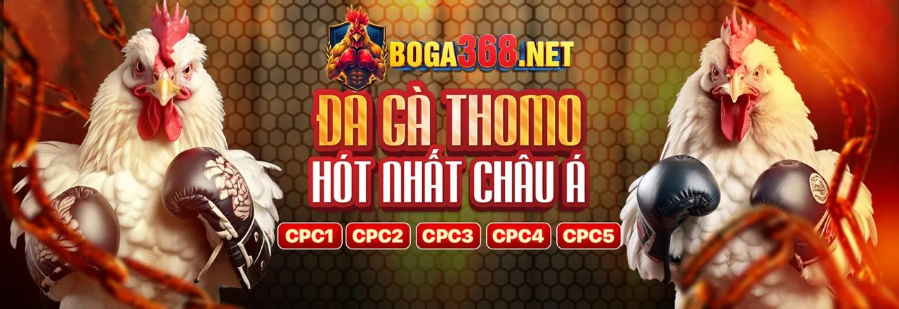 Đá gà trực tuyến đỉnh cao tại Shbet